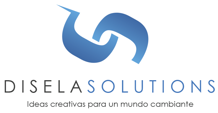 Disela Solutions Logo