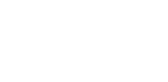 Disela Solutions